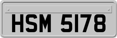 HSM5178