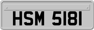 HSM5181
