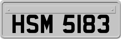 HSM5183
