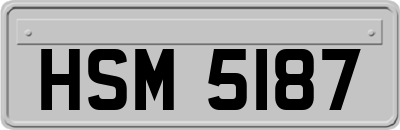 HSM5187