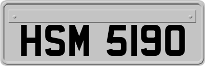 HSM5190