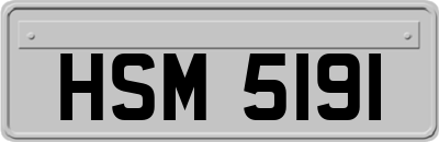 HSM5191
