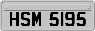HSM5195