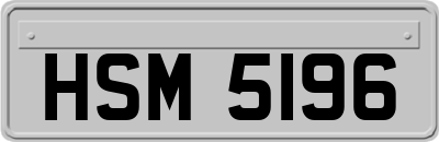 HSM5196