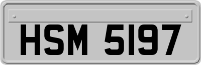 HSM5197