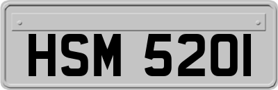 HSM5201