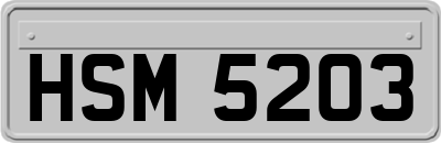 HSM5203