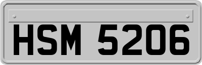 HSM5206