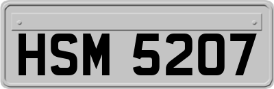 HSM5207
