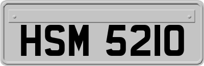 HSM5210