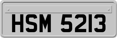 HSM5213