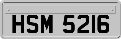 HSM5216