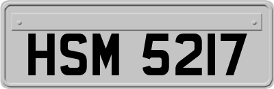 HSM5217