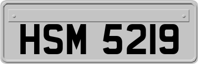 HSM5219