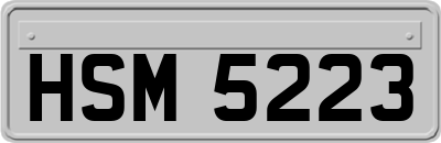 HSM5223