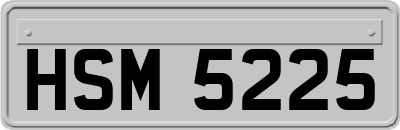 HSM5225