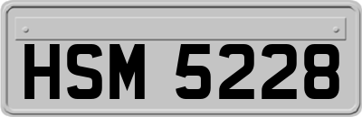 HSM5228