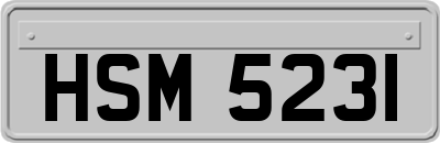HSM5231