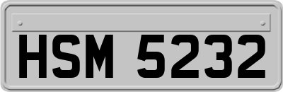 HSM5232