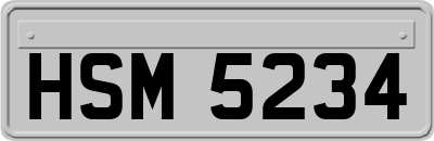 HSM5234