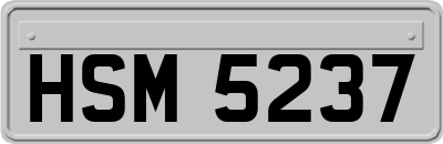 HSM5237