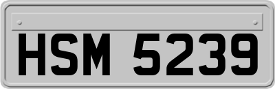 HSM5239