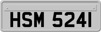 HSM5241