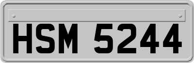 HSM5244