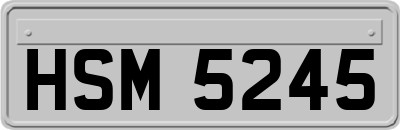 HSM5245