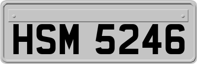 HSM5246
