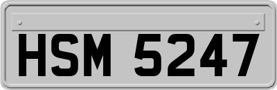 HSM5247