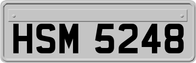 HSM5248