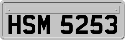 HSM5253