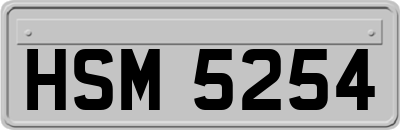 HSM5254