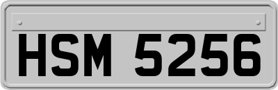 HSM5256