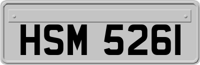 HSM5261