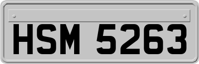 HSM5263