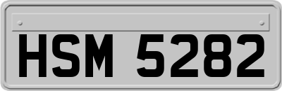 HSM5282