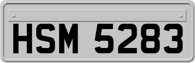 HSM5283