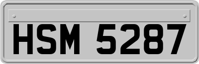 HSM5287