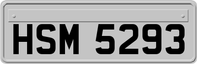 HSM5293
