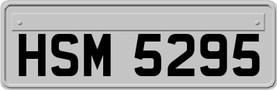 HSM5295