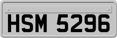 HSM5296