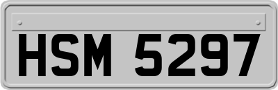 HSM5297