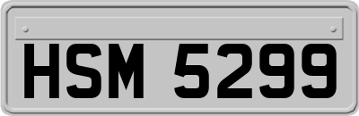 HSM5299