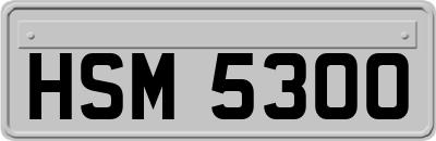 HSM5300