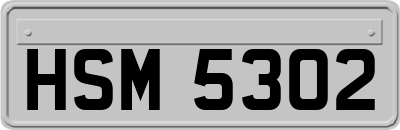HSM5302