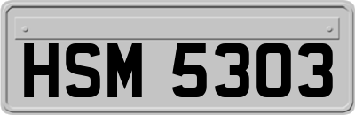 HSM5303