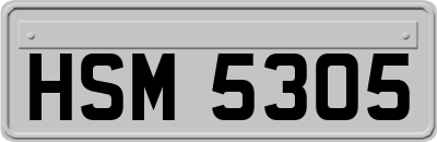 HSM5305