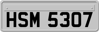 HSM5307